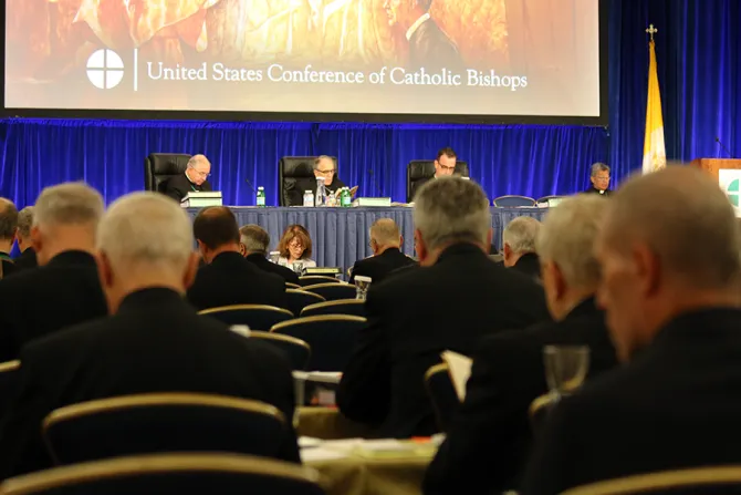 USCCB 6 11 Wide shot of front table DiNardo 2