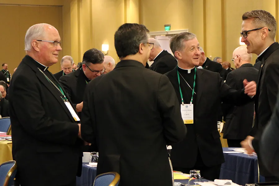 Bishops at the USCCB General Assembly in Baltimore, June 2019. ?w=200&h=150