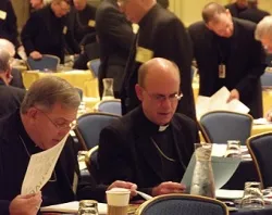 USCCB Fall General Assembly, November 15, 2011.?w=200&h=150