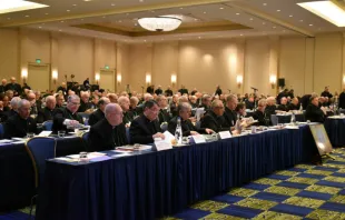 The USCCB autumn general assembly in Baltimore, Md., Nov. 11, 2019.   Christine Rousselle/CNA.