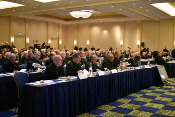 USCCB autumn general assembly Baltimore Nov 11 2019 Credit Christine rousselle CNA