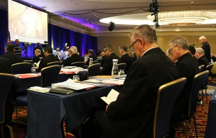 The USCCB spring general assembly in Baltimore, Md., June 13, 2019.   Kate Veik/CNA.