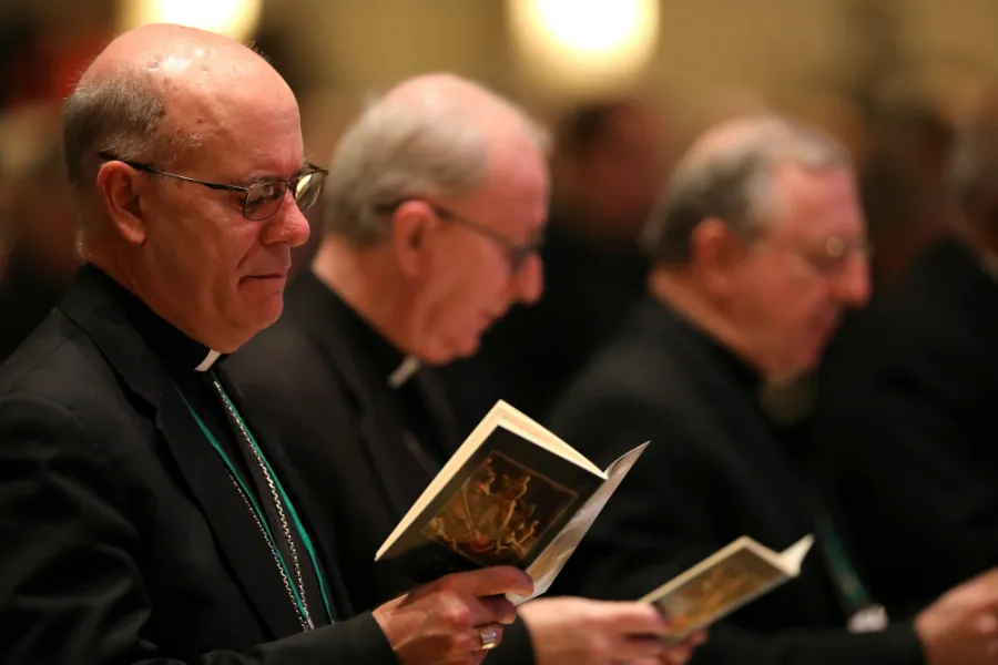 The USCCB autumn General Assembly in Baltimore, Md., Nov. 12, 2018.  (CNS photo/Bob Roller)?w=200&h=150