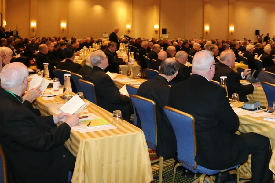 The USCCB autumn General Assembly in Baltimore, Md., Nov. 12, 2018. ?w=200&h=150