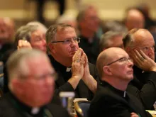 The USCCB General Assembly in Baltimore, Md., Nov. 13, 2018. 