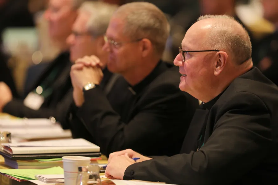 The USCCB autumn General Assembly in Baltimore, Md., Nov. 14, 2018. (CNS photo/Bob Roller)?w=200&h=150