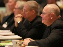 The USCCB autumn General Assembly in Baltimore, Md., Nov. 14, 2018. (CNS photo/Bob Roller)