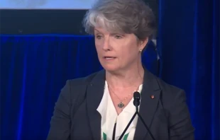 Anita Raines, chair of the National Advisory Council, addresses the USCCB Spring General Assembly in Baltimore, Md., June 11, 2019.