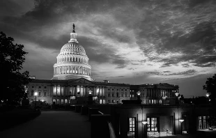 The US capitol building.   Orhan Cam/Shutterstock.