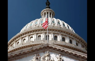 US Capitol building.   Shawn Clover (CC BY-NC 2.0).