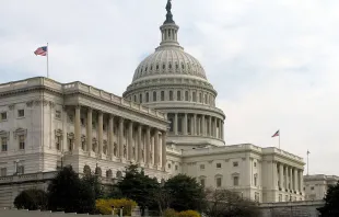 U.S. Capitol, Senate side, public domain. null