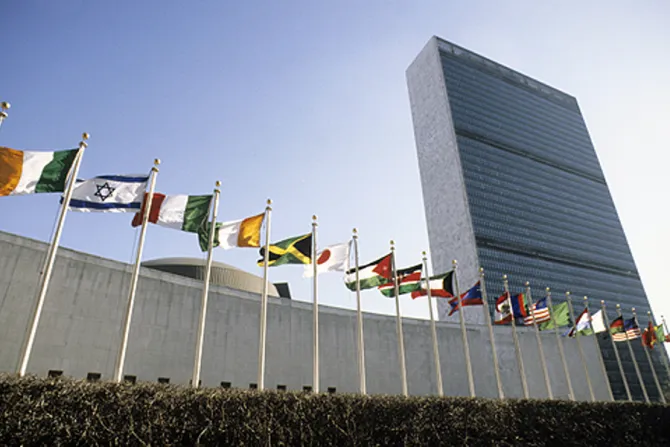 United Nations Headquarters in New York City Credit UN Photo John Isaac CNA US Catholic News 6 3 13