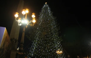 Vatican Christmas tree lighting in St. Peter's Square on Dec. 19, 2014.   Elise Harris/CNA.