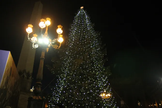 Vatican Christmas tree lighting in St Peters Square on Dec 19 2014 Credit Elise Harris CNA 2 CNA 12 19 14