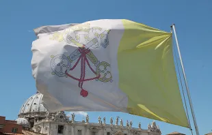 The Vatican flag. Bohumil Petrik/CNA.