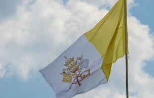 The flag of Vatican City. Andreas Duren/CNA.