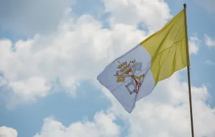 The Vatican flag.   Andreas Duren/CNA.