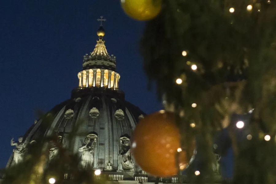 Christmas tree in St. Peter's Square on December 9, 2016. ?w=200&h=150