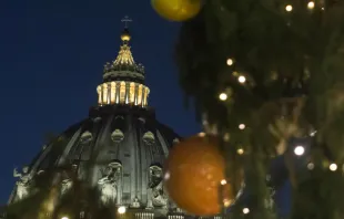 Christmas tree in St. Peter's Square on December 9, 2016.   Vatican Media/CNA.