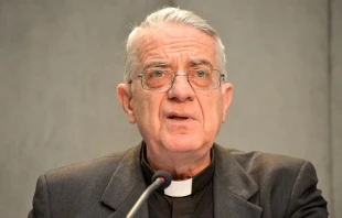 Vatican spokesman Fr. Federico Lombardi S.J. addresses journalists during a May 15, 2014 press conference.   Daniel Ibáñez/CNA.