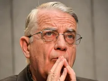 Fr. Federico Lombardi, director of the Holy See press office, who was awarded an honoris causa degree from the Pontifical Salesian University Nov. 24, 2014. 