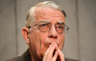Fr. Federico Lombardi, director of the Holy See press office, who was awarded an honoris causa degree from the Pontifical Salesian University Nov. 24, 2014.   Daniel Ibanez/CNA.