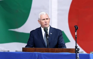 Vice President Mike Pence addresses the Pro-Life Rally at the National Mall in Washington, D.C., Jan. 27, 2017.   Chip Somodevilla / Getty Images.