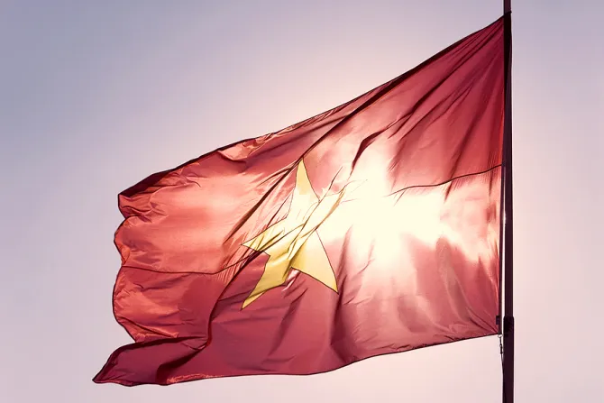 Vietnamese flag Credit imagedbcom Shutterstock CNA