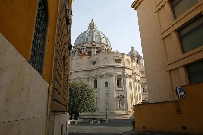 View of the cupola of St Peters basilica from one of the Vaticans gates on July 3 2015 Credit Bohumil Petrik CNA 7 29 15
