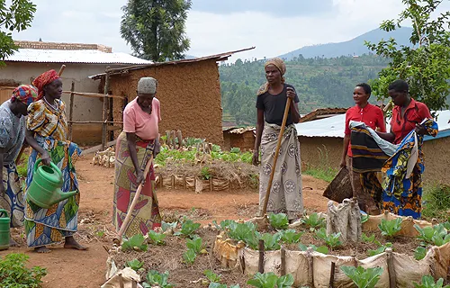 Women in Rwanda tend a community garden with techniques taught by Catholic Relief Services. ?w=200&h=150