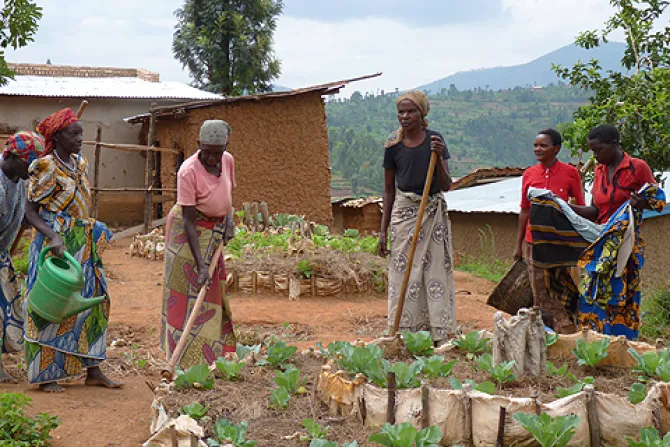 Villagers in Rwanda tend a community garden October 23 2013 Credit Michelle Bauman CNA CNA 10 31 13