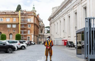 A Swiss Guard in Vatican City. Credit: Daniel Ibáñez/CNA.