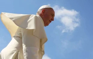 Pope Francis at a Wednesday general audience in St. Peter's Square on June 17, 2015. Credit: Bohumil Petrik.