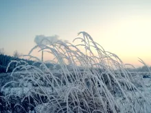  Frosty winter in the countryside near Kyiv, Ukraine. 
