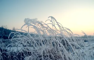  Frosty winter in the countryside near Kyiv, Ukraine.   Sergey Kamshylin via Shutterstock. 