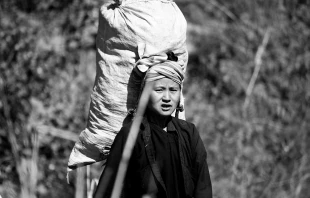 null Wagner T. Cassimiro Aranha via Flickr (CC BY 2.0) .