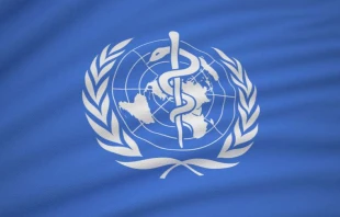 The World Health Organization’s Model List of Essential Medicines 2025 no longer has the caveat that abortion drugs should only be used where “legally permitted or culturally acceptable.” Credit: KadirKARA/Shutterstock