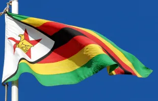 The flag of Zimbabwe.   Harvey Barrison via Flickr (CC BY-SA 2.0).