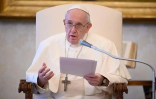 Pope Francis speaks at a general audience in the apostolic library.   Vatican Media