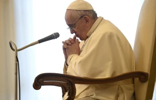 Pope Francis at his general audience address in the library of the Apostolic Palace Jan. 27, 2021. Vatican Media.