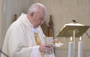 Pope Francis celebrates Mass in the chapel of the Casa Santa Marta July 8, 2020.   Vatican Media.