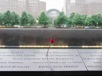 A rose at the World Trade Center Memorial in New York City. 