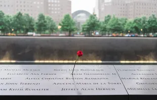 A rose at the World Trade Center Memorial in New York City.   Aaron Lee via Unsplash.