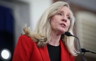 Virginia Democratic gubernatorial candidate former Rep. Abigail Spanberger speaks during an Everytown for Gun Safety rally on April 10, 2025, in Alexandria, Virginia. Credit: Win McNamee/Getty Images