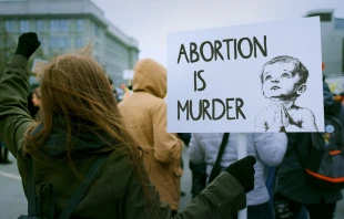 null Credit: SibRapid/Shutterstock