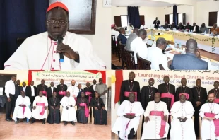 Cardinal Stephen Ameyu, president of the Sudan and South Sudan Catholic Bishops’ Conference (SSS-CBC), urged Catholic leaders this week to strengthen unity, foster nonviolence, and reinforce pastoral structures as the Church responds to the plight of the people of God in Sudan and South Sudan. Credit: Catholic Radio Network