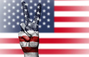 Peace sign in front of the U.S. flag /   Pexels