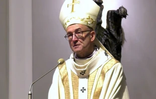 Warsaw, Poland Archbishop Adrian Galbas. Credit: SILESIA FLESZ TVS, CC BY 3.0, via Wikimedia Commons