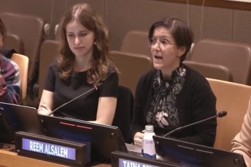 UN report on surrogacy