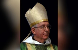 Archbishop Guy de Kerimel of Toulouse, France. Credit: Paralacre, CC0, via Wikimedia Commons